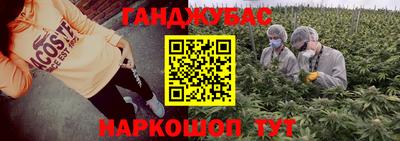 гидра Лесосибирск