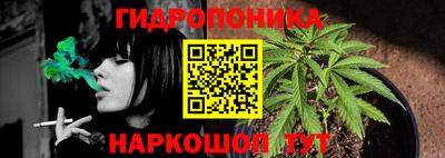 гидра Лесосибирск
