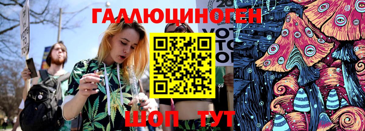 Донской  Псилоцибиновые грибы Psilocybine cubensis  Вход с VPN 